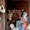 Szopkarze z Neapolu nie chcą pracować w tłoku