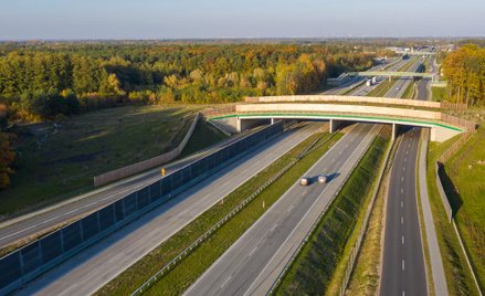 Spowalnia eksportowy silnik transportu drogowego