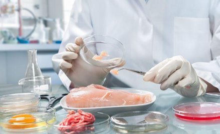 Czy wydatki na utylizację zakupionego towaru mogą być dla spółki kosztami uzyskania przychodów?