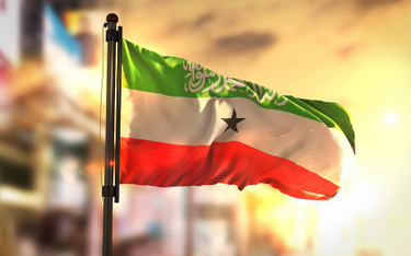 Flaga Somalilandu