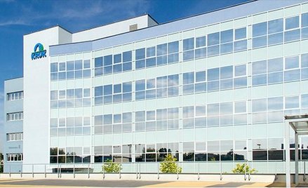 Pandemia dała się we znaki Krukowi