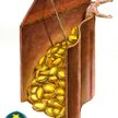 Unia walutowa – czas na zmiany