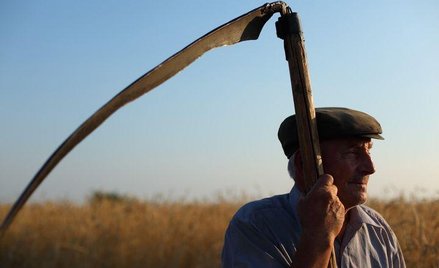 Rolnicy będą inwestować