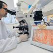 Badania wirusa A-H1N1 prowadzą zamknięte laboratoria