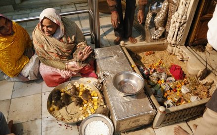 Świątynia Karni Maty