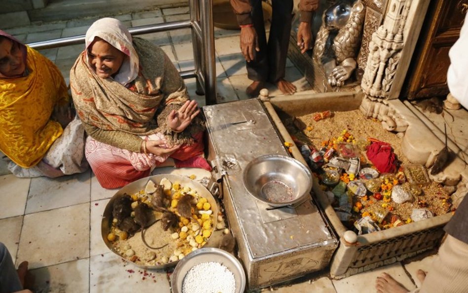 Świątynia Karni Maty