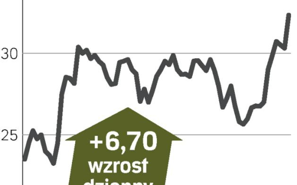 Wyprzedaż sklepów podniosła kurs