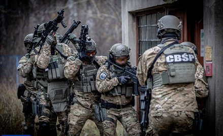 CBŚP zatrzymuje coraz więcej osób podejrzanych o udział w zorganizowanych grupach przestępczych. Ale