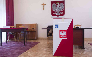 Byli ambasadorowie: Polonia chce i ma prawo głosować