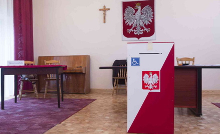 Byli ambasadorowie: Polonia chce i ma prawo głosować