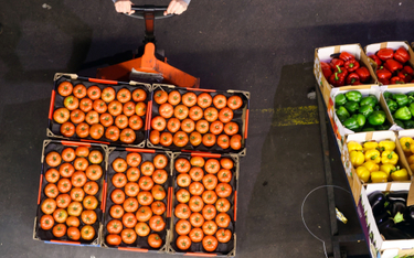 Brytyjskim sklepom zabrakło pomidorów z importu