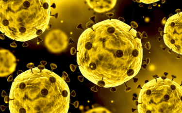 Brytyjski mikrobiolog: Omikron zmienił sposób, w jaki koronawirus infekuje komórki