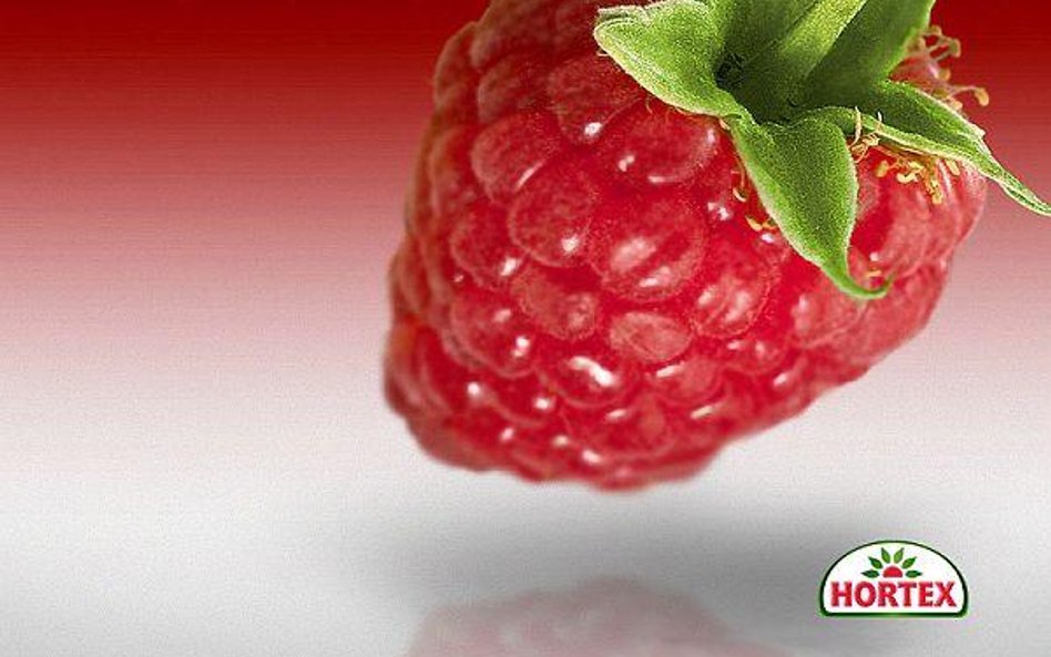 Hortex nadal myśli o giełdzie