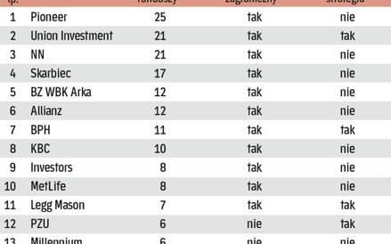 Rożnorodność oferty IKE w tfi