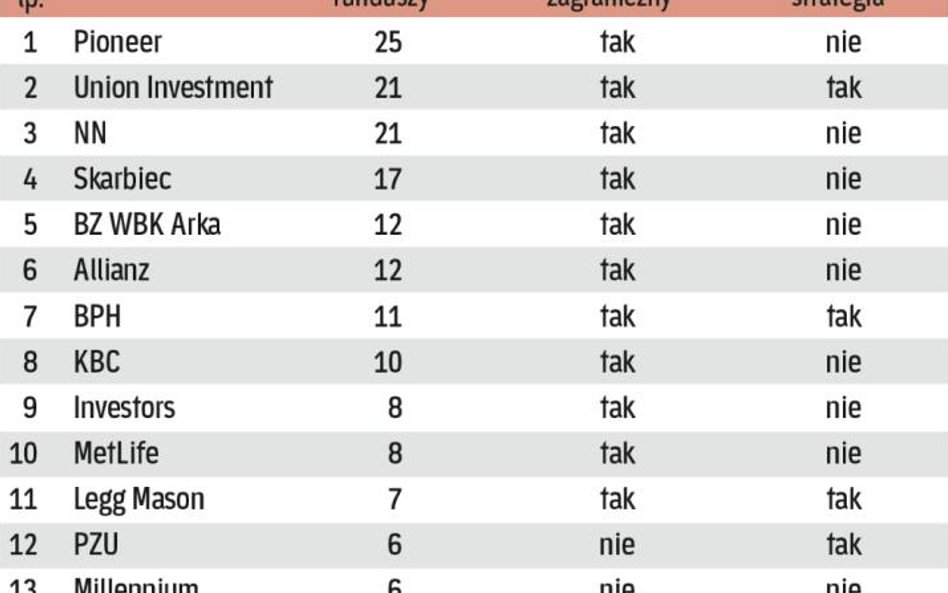 Rożnorodność oferty IKE w tfi