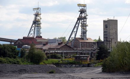 Decyzja o odejściu od gospodarki opartej na węglu jest w interesie Polek i Polaków