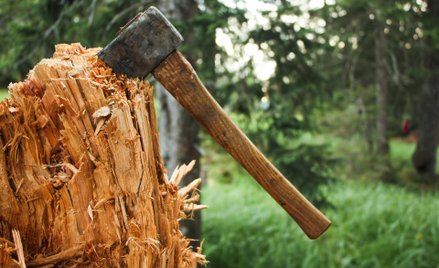 Jest zgoda na ratyfikację konwencji ?o zapobieganiu i zwalczaniu przemocy wobec kobiet