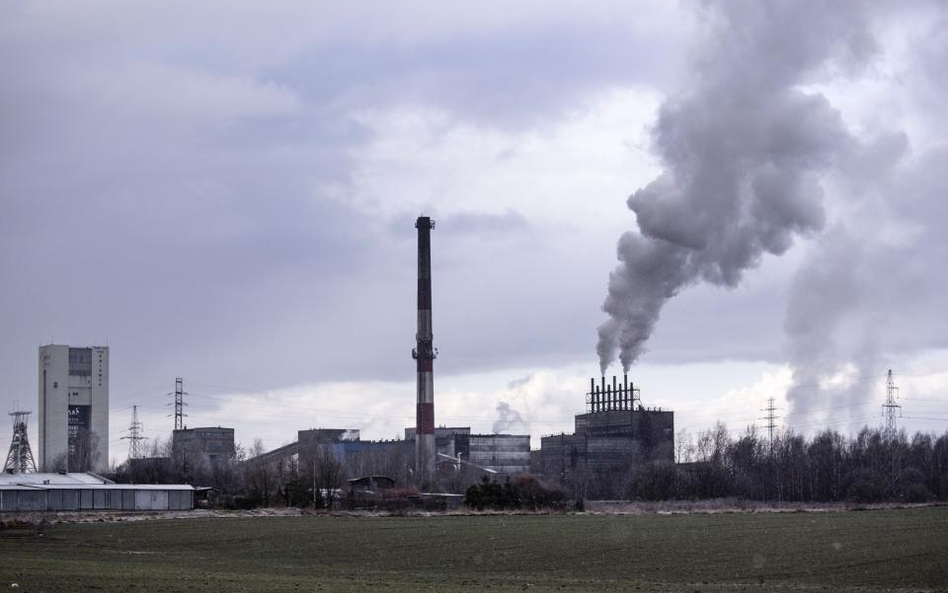 Pandemia nie zatrzymała inwestycji w JSW i Bogdance