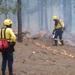 Pożary na Gran Canarii. Ewakuowano kilka miast