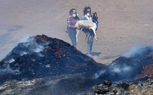 W związku z szalejącymi pożarami, w Kalifornii ogłoszono stan wyjątkowy