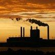 Dostawa energii elektrycznej dla posiadaczy koncesji objęta akcyzą