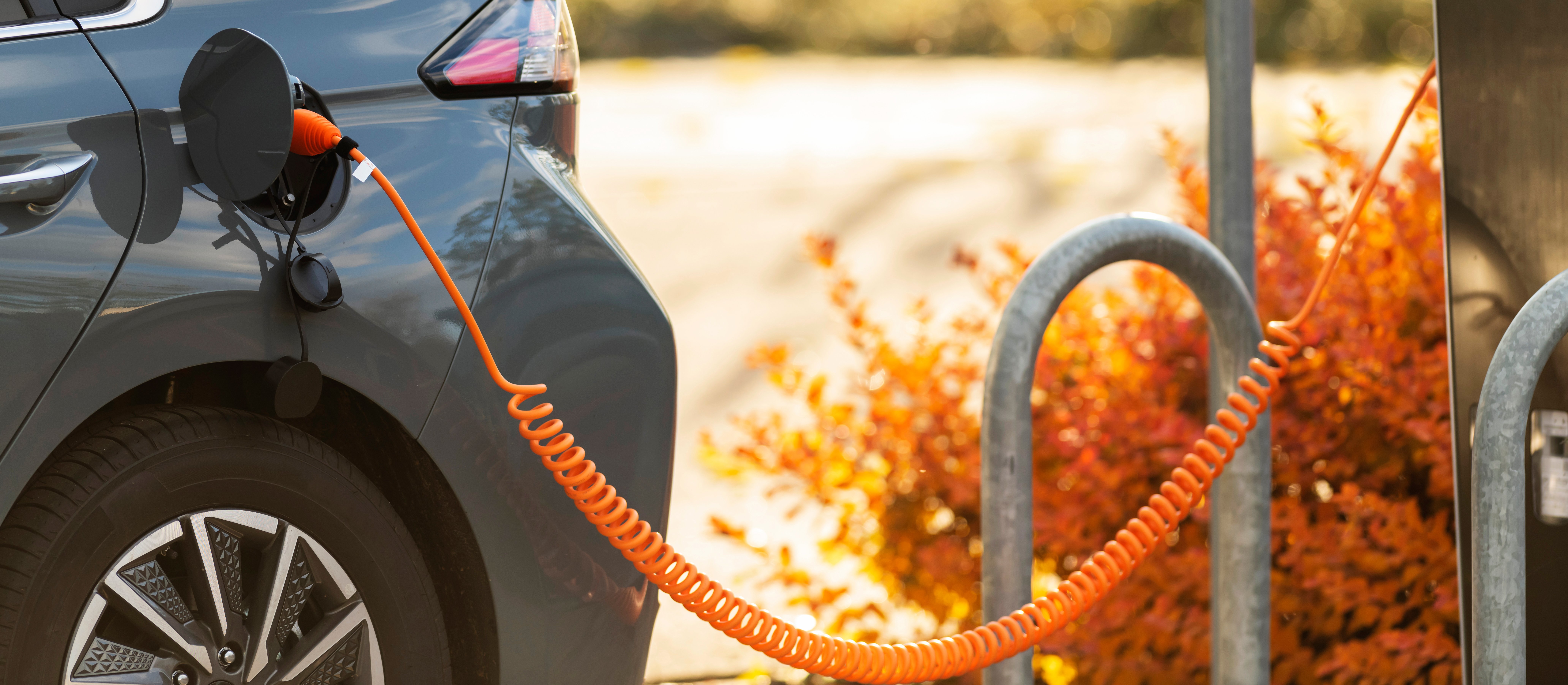 Koniec dopłat do elektryków już w styczniu? Czas na gwałtowne hamowanie