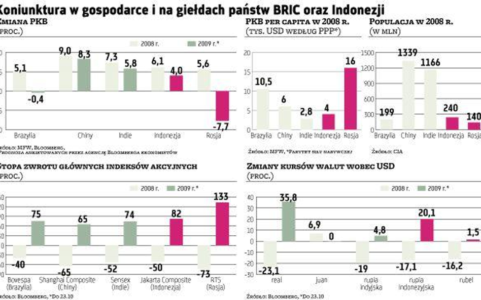 Indonezja powinna zastąpić Rosję w grupie wschodzących potęg