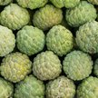 Jabłko cukrowe – owoc drzewa o nazwie flaszowiec łuskowaty Annona squamosa