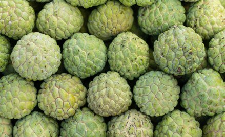 Jabłko cukrowe – owoc drzewa o nazwie flaszowiec łuskowaty Annona squamosa