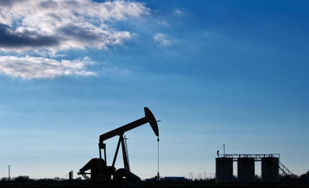 Energetyczna prognoza dla USA