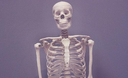 Kości Josefa Mengele służą studentom do nauki anatomii