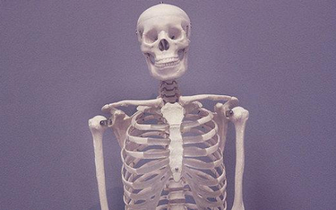 Kości Josefa Mengele służą studentom do nauki anatomii