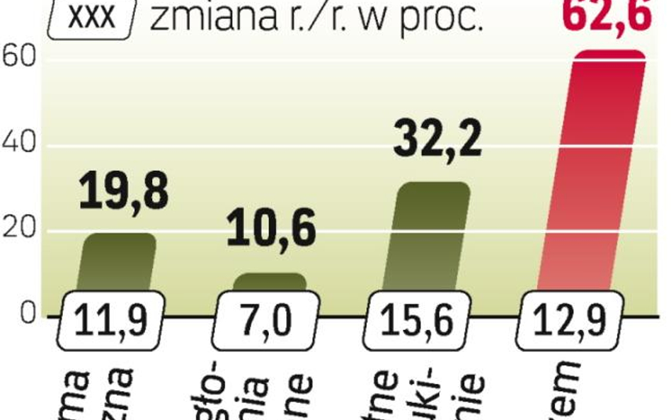 Szybko rosną także wpływy z tzw. reklamy mobilnej i wideo w sieci. Wartościowo wciąż nie są to jedna