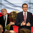 Firmy z jednym nadzorcą