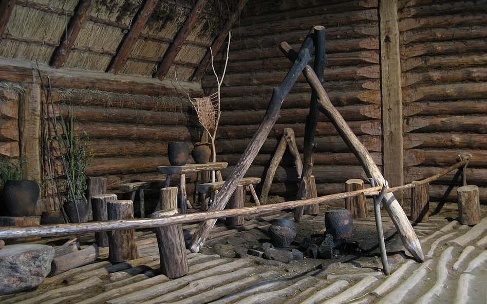 Rekonstrukcja chaty mieszkalnej z epoki brązu w Biskupinie