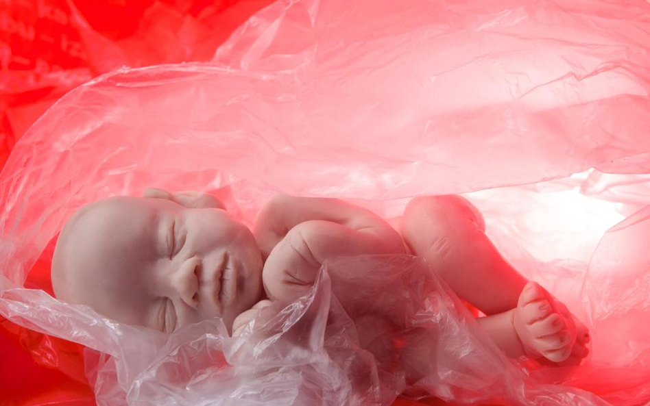 Liberalniej w Irlandii: będzie referendum w sprawie aborcji
