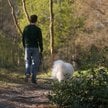 W odróżnieniu od „zwykłych”, lasy lecznicze z jednej strony są dziełem natury, z drugiej – wynikiem 