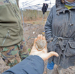 Wiosną w Starym Grodkowie na Opolszczyźnie, w czasie prac archeologicznych, odnaleziono miejsca, gdz