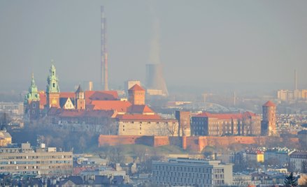 Co mieszkańcy Krakowa myślą o darmowej komunikacji w smogowe dni?