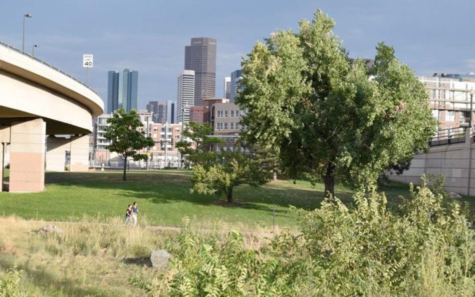 Dobrze wykorzystane nieużytki urbanistyczne zamieniają się w tereny atrakcyjne przyrodniczo