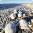 Niezwykłe kulki lodu pokryły plażę w Finlandii