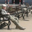 Amplico i ING najlepsze od początku 2010 r.