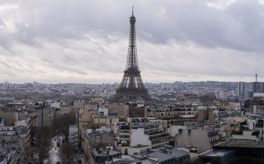 Jesienią 2023 roku w Paryżu wybuchła panika. Spowodowała ją histeria wokół plagi pluskiew,