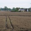 Przedłużenia dzierżawy na właścicielu wymusić nie można
