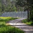 Przemyt ludzi wyhamował. Migrantom rzadziej udaje się przedostać od strony Białorusi