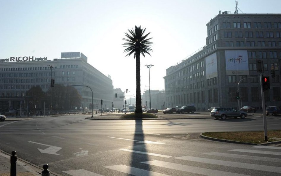 Joanna Rajkowska, „Pozdrowienia z Alej Jerozolimskich”, 2002, CSW Zamek Ujazdowski