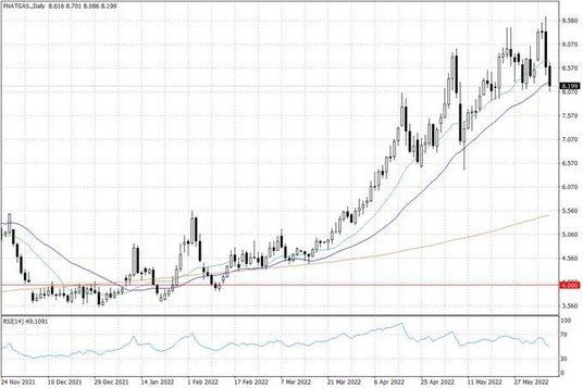 Notowania gazu ziemnego w USA – dane dzienne