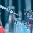 Zespół naukowców potwierdził biochemiczną hipotezę, która może mieć wpływ na proces produkcji leków 