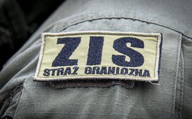 Służby zostały wezwane na pomoc przez załogi samolotów, które nie były w stanie poradzić sobie z oso