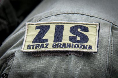 Służby zostały wezwane na pomoc przez załogi samolotów, które nie były w stanie poradzić sobie z oso